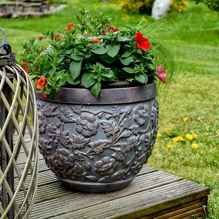 Atputas Vieta Braltirumi Country house Purciems